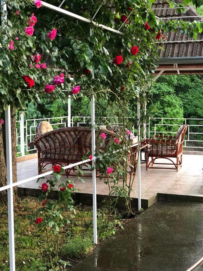 Villa Elita - Bela Crkva Bela Crkva  Dış mekan fotoğraf