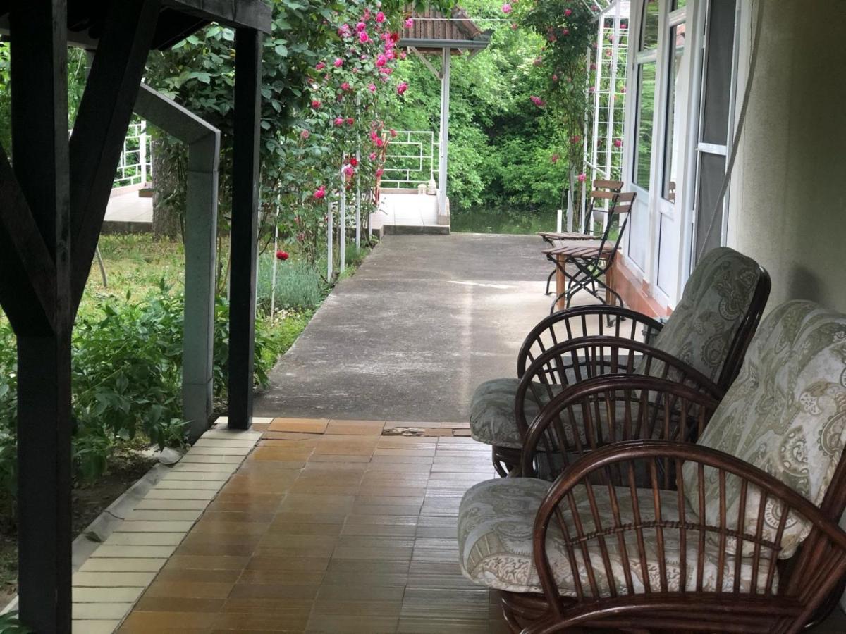 Villa Elita - Bela Crkva Bela Crkva  Dış mekan fotoğraf